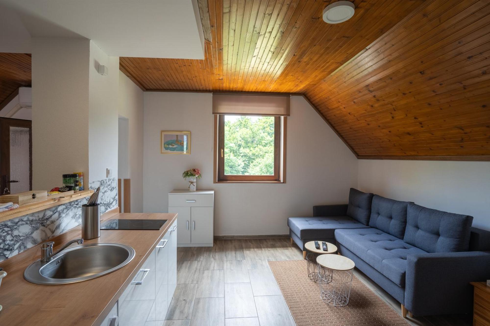 Apartment Ivanka Rastovaca Bagian luar foto